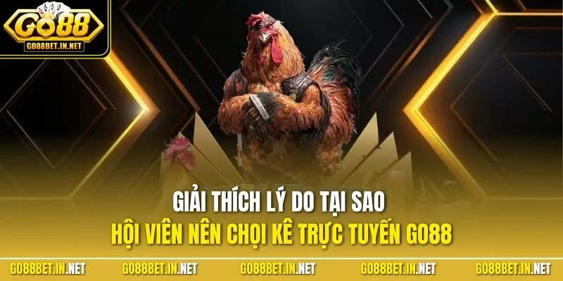 Giải thích lý do tại sao hội viên nên chọi kê trực tuyến GO88