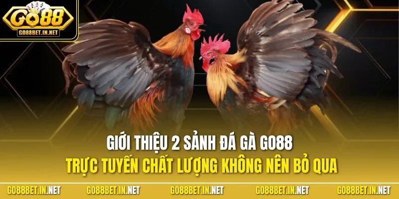 Giới thiệu 2 sảnh đá gà GO88 trực tuyến chất lượng không nên bỏ qua