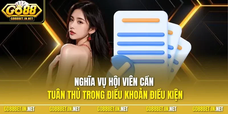 Nghĩa vụ hội viên cần tuân thủ trong điều khoản điều kiện