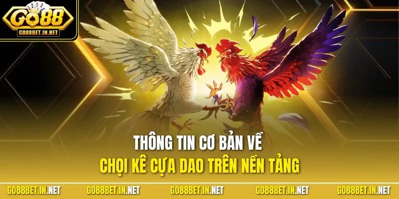 Thông tin cơ bản về chọi kê cựa dao trên nền tảng